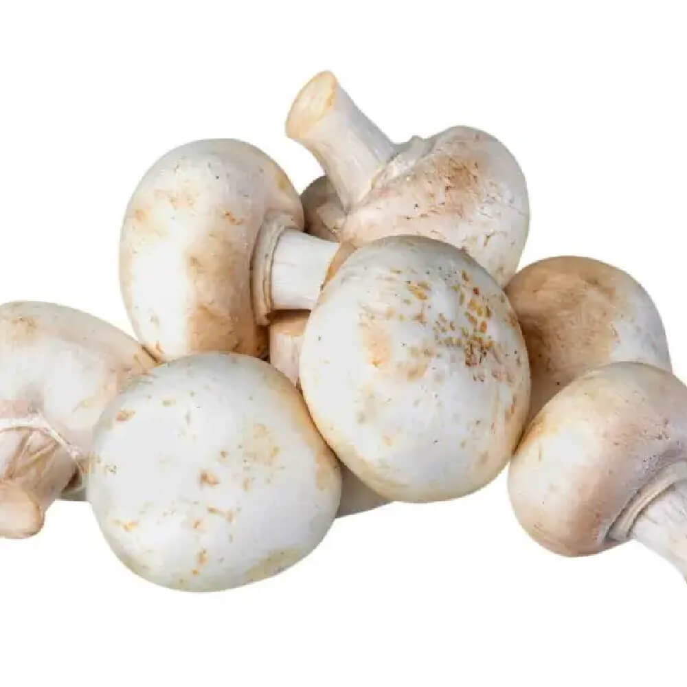 ciuperci-champignon-1kg