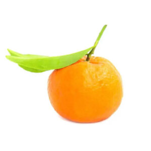mandarine-import-1kg
