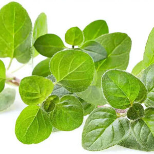 oregano-import-30g-1buc
