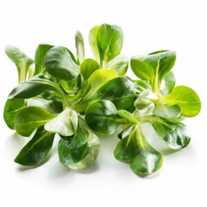 valeriana-caserola-100g